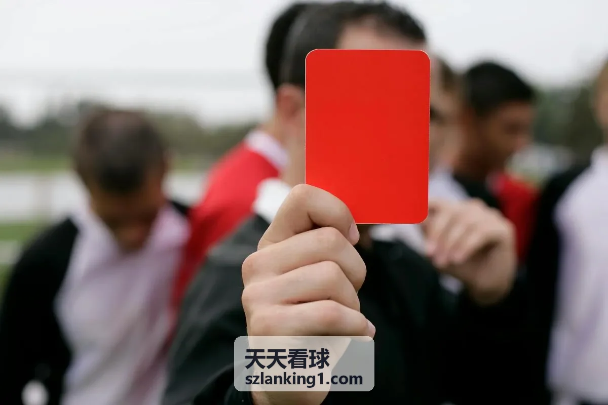 天天看球NBA总决赛回放封面